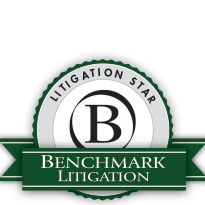 Benchmark Litigation